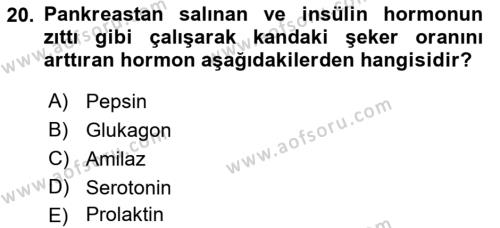 İnsan Beden Yapısı Ve Fizyolojisi Dersi 2022 - 2023 Yılı Yaz Okulu Sınavı 20. Soru