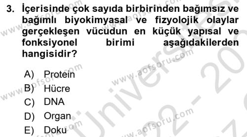 İnsan Beden Yapısı Ve Fizyolojisi Dersi 2022 - 2023 Yılı Yaz Okulu Sınavı 3. Soru