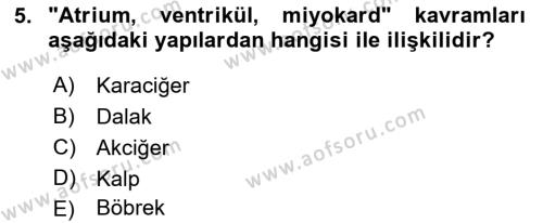 İnsan Beden Yapısı Ve Fizyolojisi Dersi 2022 - 2023 Yılı Yaz Okulu Sınavı 5. Soru