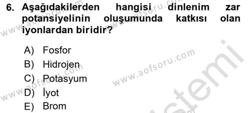 İnsan Beden Yapısı Ve Fizyolojisi Dersi 2022 - 2023 Yılı Yaz Okulu Sınavı 6. Soru