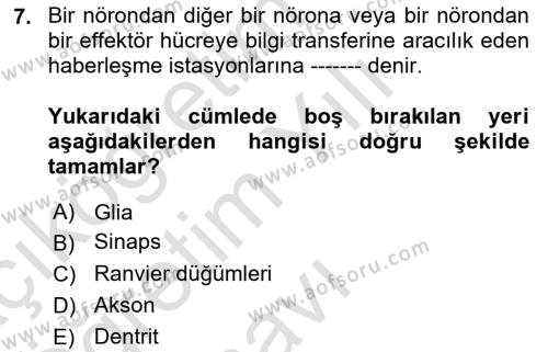 İnsan Beden Yapısı Ve Fizyolojisi Dersi 2022 - 2023 Yılı Yaz Okulu Sınavı 7. Soru