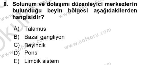İnsan Beden Yapısı Ve Fizyolojisi Dersi 2022 - 2023 Yılı Yaz Okulu Sınavı 8. Soru
