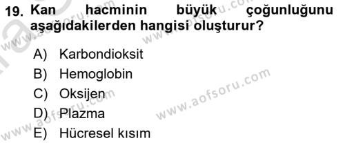 İnsan Beden Yapısı Ve Fizyolojisi Dersi 2024 - 2025 Yılı (Vize) Ara Sınavı 19. Soru