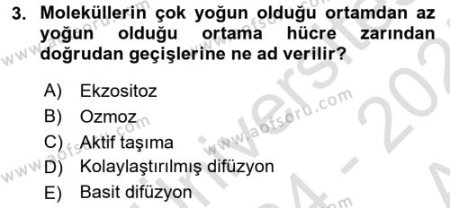 İnsan Beden Yapısı Ve Fizyolojisi Dersi 2024 - 2025 Yılı (Vize) Ara Sınavı 3. Soru