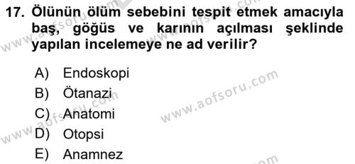 Sağlık İşletmelerinde İnsan Kaynakları Yönetimi Dersi 2023 - 2024 Yılı (Final) Dönem Sonu Sınavı 17. Soru