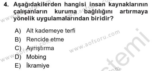 Sağlık İşletmelerinde İnsan Kaynakları Yönetimi Dersi 2023 - 2024 Yılı (Final) Dönem Sonu Sınavı 4. Soru