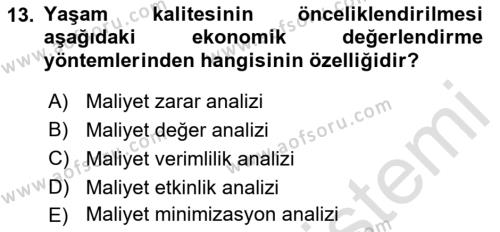 Sağlık Ekonomisi Dersi 2022 - 2023 Yılı Yaz Okulu Sınavı 13. Soru