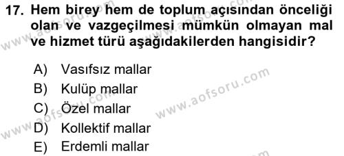 Sağlık Ekonomisi Dersi 2023 - 2024 Yılı (Final) Dönem Sonu Sınavı 17. Soru