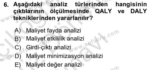 Sağlık Ekonomisi Dersi 2023 - 2024 Yılı (Final) Dönem Sonu Sınavı 6. Soru