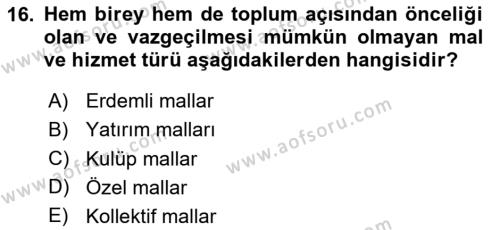 Sağlık Ekonomisi Dersi 2023 - 2024 Yılı Yaz Okulu Sınavı 16. Soru