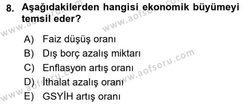 Sağlık Ekonomisi Dersi 2023 - 2024 Yılı Yaz Okulu Sınavı 8. Soru