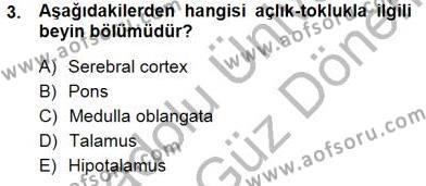 Çocuk Ruh Sağlığı Dersi 2012 - 2013 Yılı (Final) Dönem Sonu Sınavı 3. Soru
