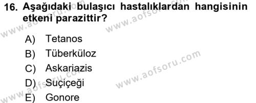 Halk Sağlığı Dersi 2017 - 2018 Yılı (Vize) Ara Sınavı 16. Soru