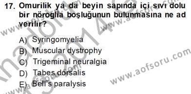 Tıp Terimleri Dersi 2013 - 2014 Yılı (Vize) Ara Sınavı 17. Soru