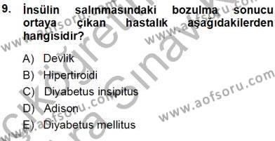 Tıp Terimleri Dersi 2013 - 2014 Yılı (Vize) Ara Sınavı 9. Soru