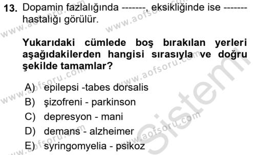 Tıp Terimleri Dersi 2022 - 2023 Yılı Yaz Okulu Sınavı 13. Soru