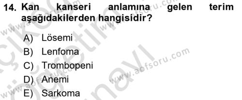 Tıp Terimleri Dersi 2022 - 2023 Yılı Yaz Okulu Sınavı 14. Soru