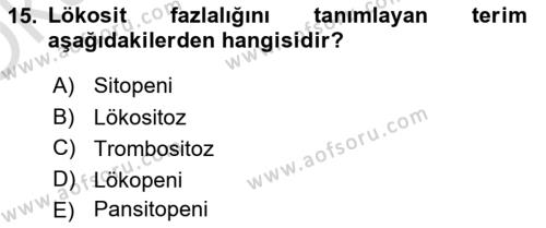 Tıp Terimleri Dersi 2022 - 2023 Yılı Yaz Okulu Sınavı 15. Soru