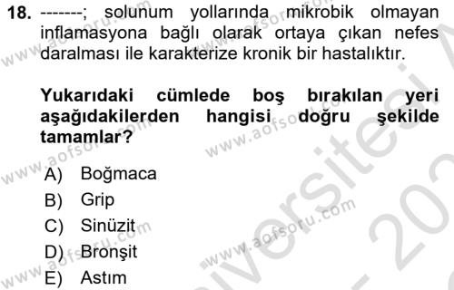 Tıp Terimleri Dersi 2022 - 2023 Yılı Yaz Okulu Sınavı 18. Soru