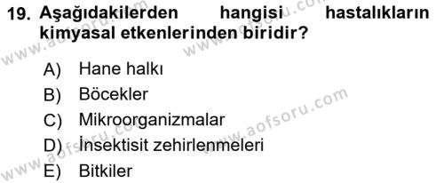 Tıp Terimleri Dersi 2022 - 2023 Yılı Yaz Okulu Sınavı 19. Soru