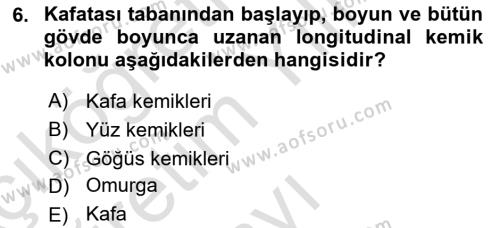 Tıp Terimleri Dersi 2022 - 2023 Yılı Yaz Okulu Sınavı 6. Soru