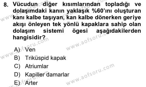 Tıp Terimleri Dersi 2022 - 2023 Yılı Yaz Okulu Sınavı 8. Soru