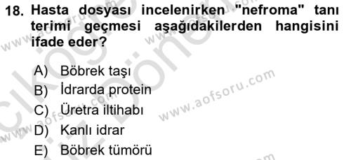 Tıp Terimleri Dersi 2023 - 2024 Yılı (Vize) Ara Sınavı 18. Soru