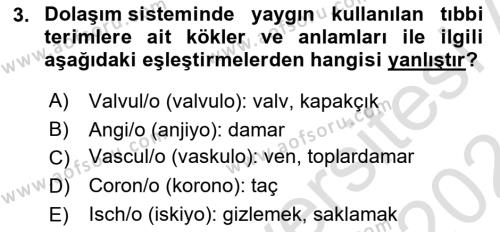 Tıp Terimleri Dersi 2023 - 2024 Yılı (Final) Dönem Sonu Sınavı 3. Soru