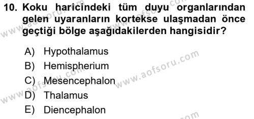 Tıp Terimleri Dersi 2024 - 2025 Yılı (Vize) Ara Sınavı 10. Soru