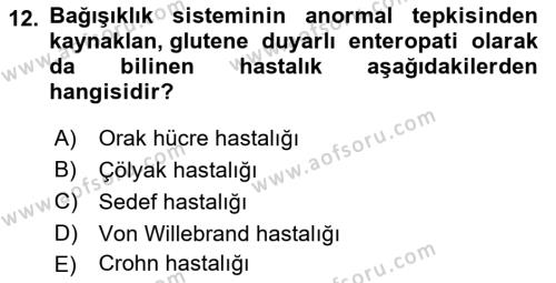 Tıp Terimleri Dersi 2024 - 2025 Yılı (Vize) Ara Sınavı 12. Soru