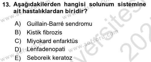 Tıp Terimleri Dersi 2024 - 2025 Yılı (Vize) Ara Sınavı 13. Soru