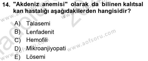 Tıp Terimleri Dersi 2024 - 2025 Yılı (Vize) Ara Sınavı 14. Soru