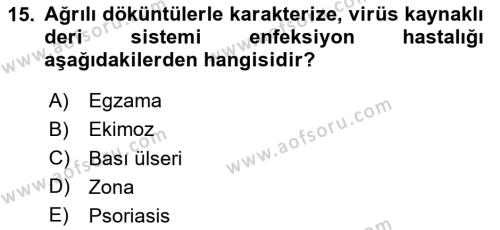 Tıp Terimleri Dersi 2024 - 2025 Yılı (Vize) Ara Sınavı 15. Soru