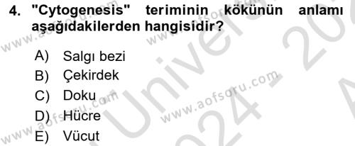 Tıp Terimleri Dersi 2024 - 2025 Yılı (Vize) Ara Sınavı 4. Soru