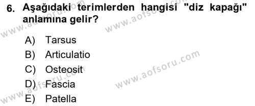 Tıp Terimleri Dersi 2024 - 2025 Yılı (Vize) Ara Sınavı 6. Soru