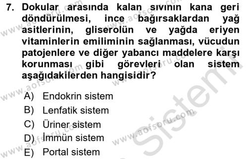 Tıp Terimleri Dersi 2024 - 2025 Yılı (Vize) Ara Sınavı 7. Soru