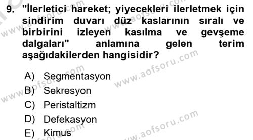 Tıp Terimleri Dersi 2024 - 2025 Yılı (Vize) Ara Sınavı 9. Soru