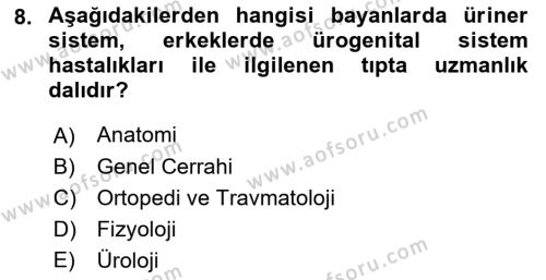 Sağlık Kurumları Yönetimi 2 Dersi 2022 - 2023 Yılı Yaz Okulu Sınavı 8. Soru