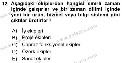 Sağlık Kurumları Yönetimi 2 Dersi 2023 - 2024 Yılı Yaz Okulu Sınavı 12. Soru