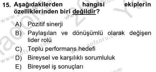 Sağlık Kurumları Yönetimi 2 Dersi 2023 - 2024 Yılı Yaz Okulu Sınavı 15. Soru