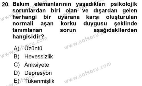 Bakım Elemanı Yetiştirme Ve Geliştirme Dersi 2020 - 2021 Yılı Yaz Okulu Sınavı 20. Soru