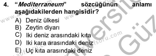 Akdeniz Uygarlıkları Sanatı Dersi 2012 - 2013 Yılı (Vize) Ara Sınavı 4. Soru
