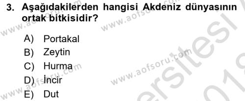 Akdeniz Uygarlıkları Sanatı Dersi 2017 - 2018 Yılı (Vize) Ara Sınavı 3. Soru