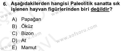 Akdeniz Uygarlıkları Sanatı Dersi 2018 - 2019 Yılı (Vize) Ara Sınavı 6. Soru