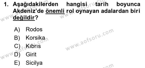 Akdeniz Uygarlıkları Sanatı Dersi 2020 - 2021 Yılı Yaz Okulu Sınavı 1. Soru