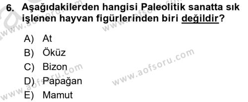 Akdeniz Uygarlıkları Sanatı Dersi 2022 - 2023 Yılı (Vize) Ara Sınavı 6. Soru