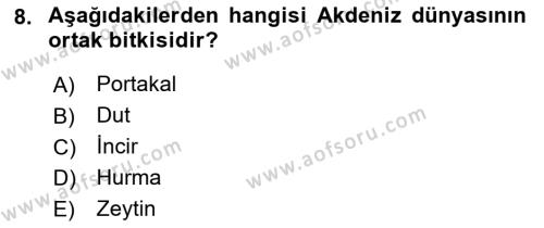 Akdeniz Uygarlıkları Sanatı Dersi 2022 - 2023 Yılı (Vize) Ara Sınavı 8. Soru