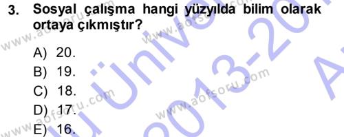 Sosyal Hizmete Giriş Dersi 2013 - 2014 Yılı (Vize) Ara Sınavı 3. Soru