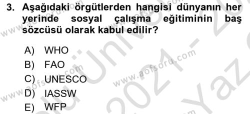 Sosyal Hizmete Giriş Dersi 2021 - 2022 Yılı Yaz Okulu Sınavı 3. Soru