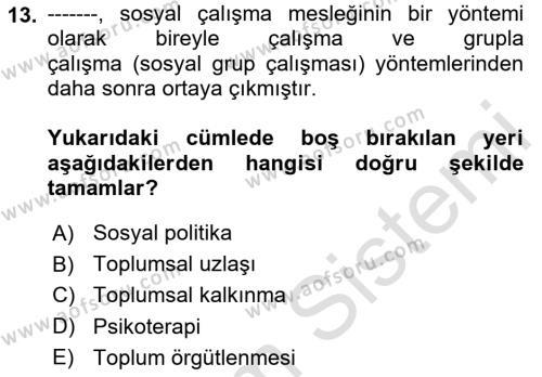 Sosyal Hizmete Giriş Dersi 2024 - 2025 Yılı (Vize) Ara Sınavı 13. Soru